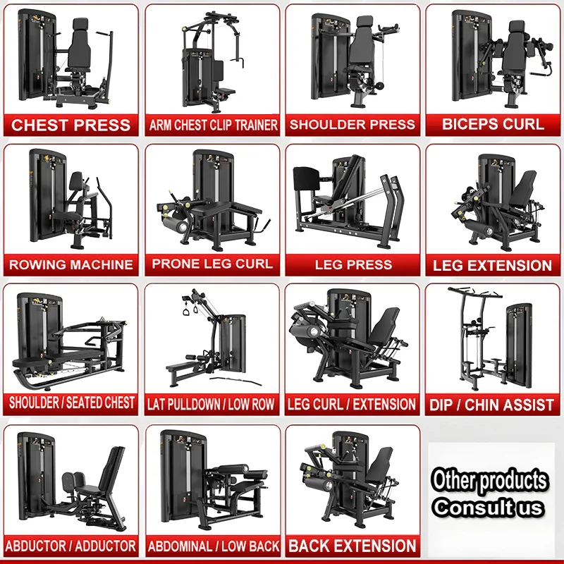 Sports Equipment Gym - Factory Brightway Sports Equipment Gym Bodybuilding
