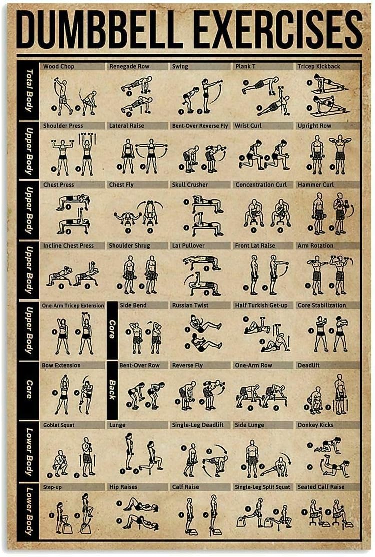 Sports Equipment Poster - JIUFOTK Dumbbell Exercises Posters Fitness Knowledge