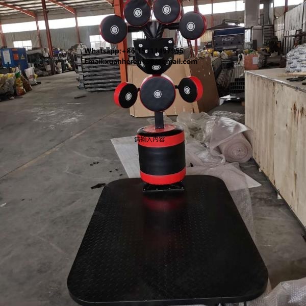 Gym Sports Equipment Professio - Sports Equipment Gym 评论和价格
