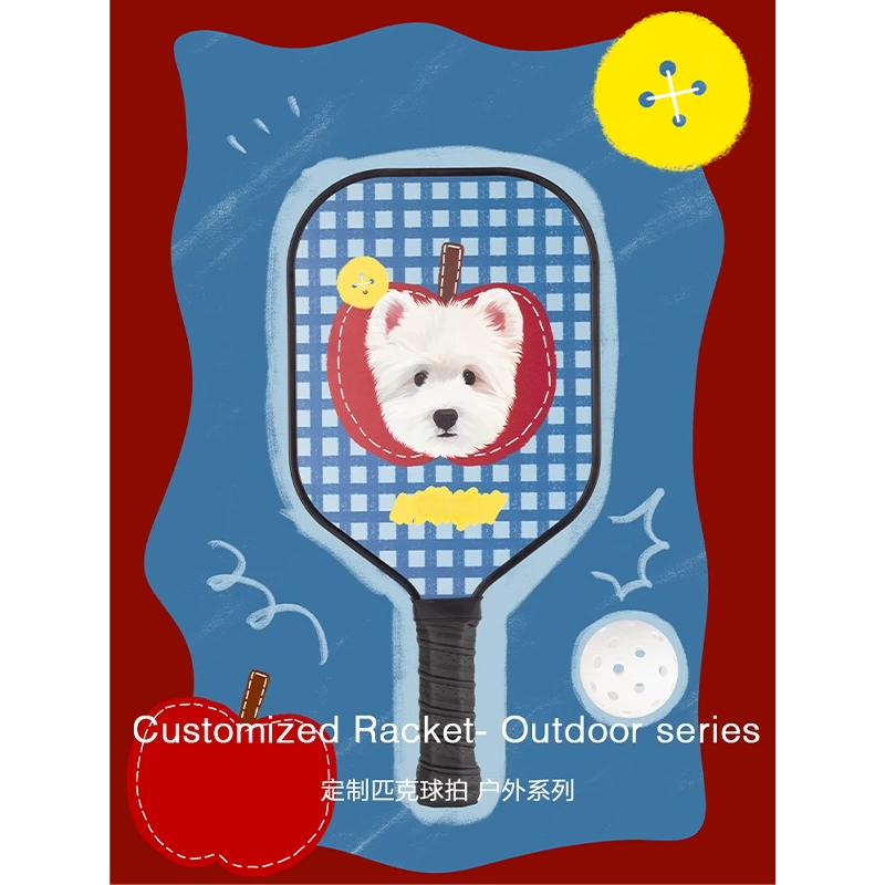 ZHAYA Pickleball Paddle T300 C - Sports Equipment Photos 评论和价格