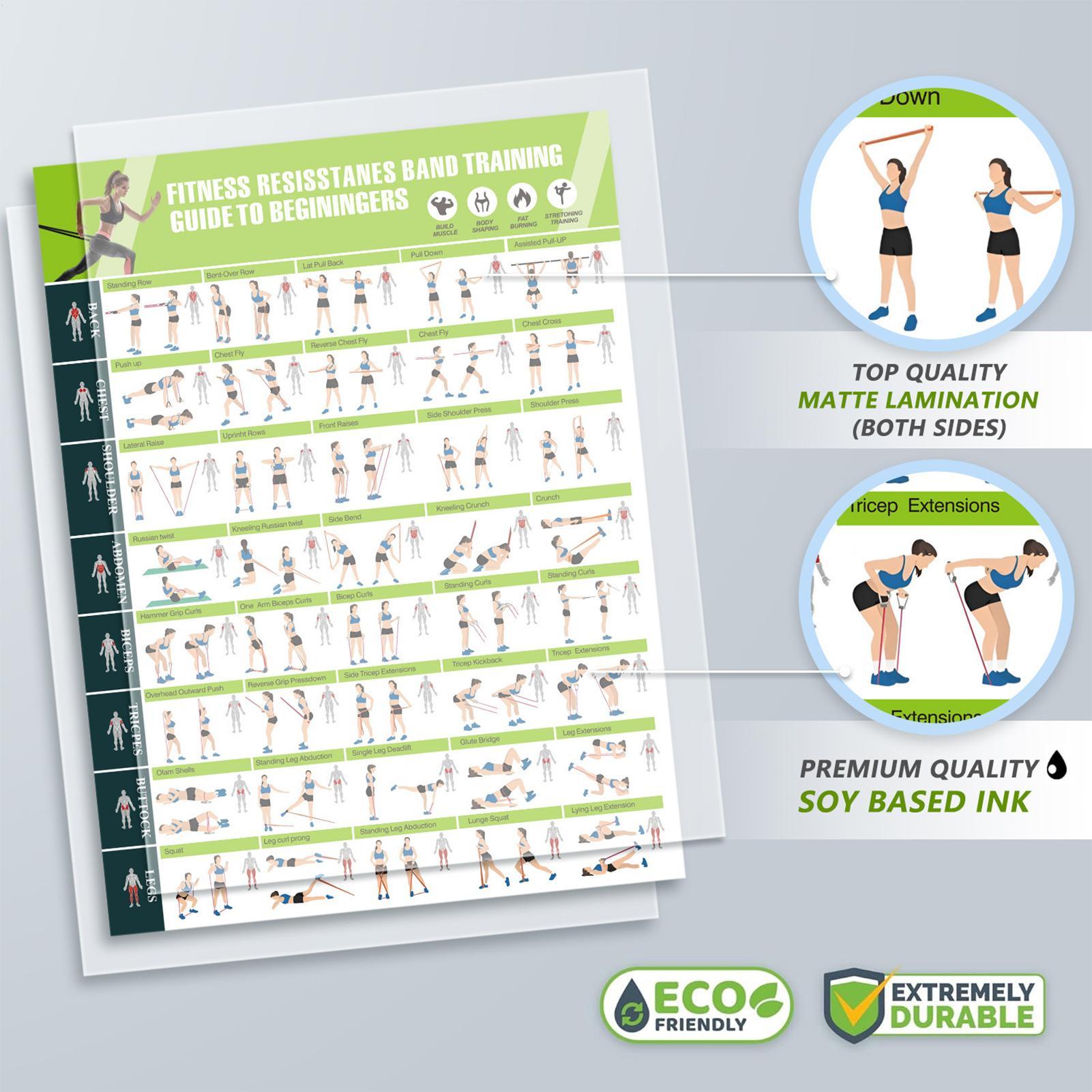 Workout Posters with Resistanc - Sports Equipment Poster 评论和价格