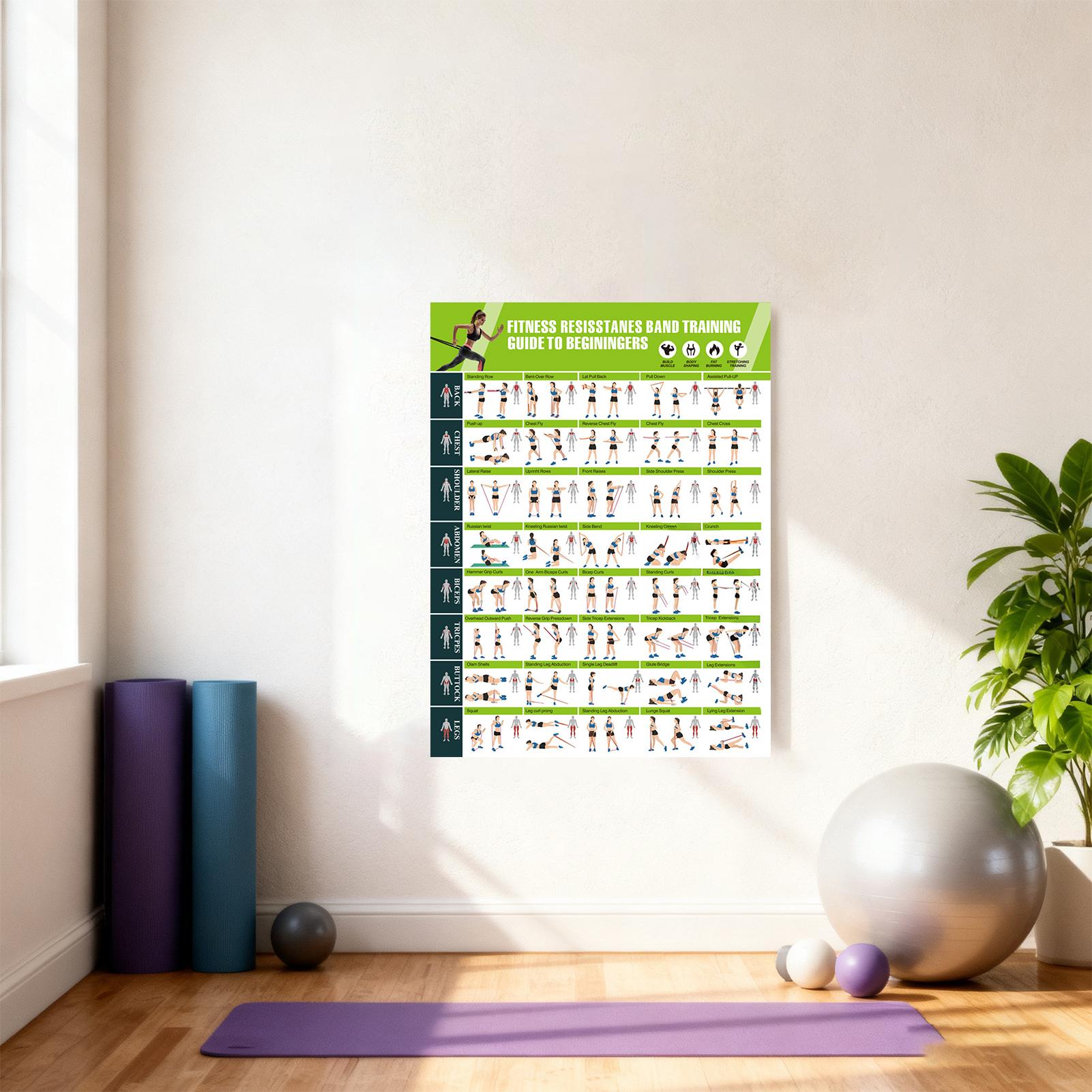 Workout Posters with Resistanc - Sports Equipment Poster 评论和价格