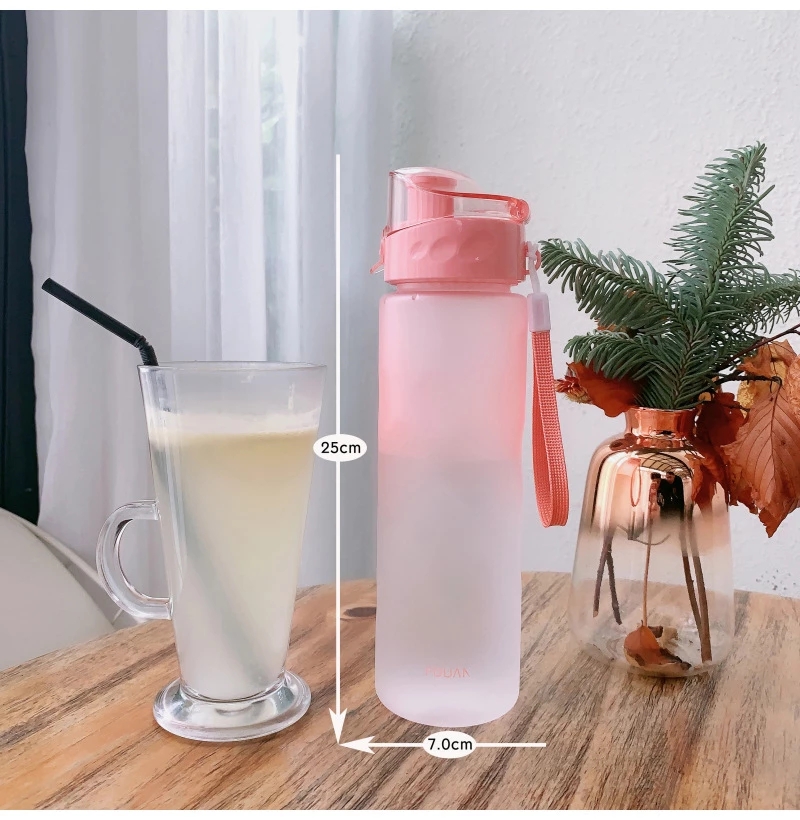 Sports Water Bottles Colorful  - Sports Equipment Logos 评论和价格