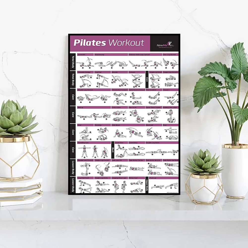 Pilates Training Chart Canvas  - Sports Equipment Poster 评论和价格
